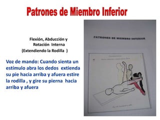 Flexión, Abducción y
Rotación Interna
(Extendiendo la Rodilla )
Voz de mando: Cuando sienta un
estímulo abra los dedos extienda
su pie hacia arriba y afuera estire
la rodilla , y gire su pierna hacia
arriba y afuera
 