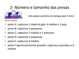 2- Número e tamanho das presas Um peixe sozinho no tanque por 5 min: peixe A: capturou 1 daphnia gde, 4 médias e 1 peq peixe B: capturou 4 pequenas peixe C: capturou 2 médias e 1 pequena peixe D: capturou 5 pequenas peixe E: capturou 4 médias peixe F (particularmente grande): capturou 6 grandes e 4 médias 