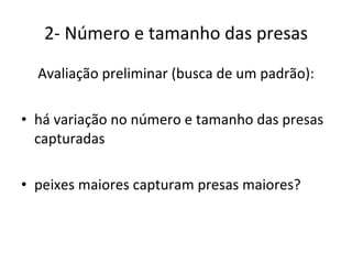 2- Número e tamanho das presas Avaliação preliminar (busca de um padrão): há variação no número e tamanho das presas capturadas peixes maiores capturam presas maiores? 