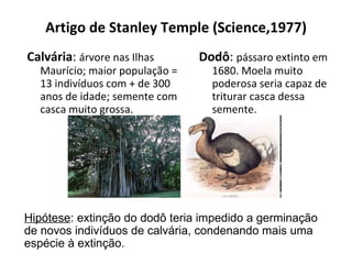 Artigo de Stanley Temple (Science,1977) Calvária :  árvore nas Ilhas Maurício; maior população = 13 indivíduos com + de 300 anos de idade; semente com casca muito grossa. Dodô :  pássaro extinto em 1680. Moela muito poderosa seria capaz de triturar casca dessa semente.  Hipótese : extinção do dodô teria impedido a germinação de novos indivíduos de calvária, condenando mais uma espécie à extinção. 