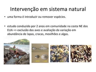 Intervenção em sistema natural uma forma é introduzir ou remover espécies. estudo conduzido por 2 anos em comunidade na costa NE dos EUA => exclusão das aves e avaliação da variação em abundância de lapas, cracas, mexilhões e algas. 