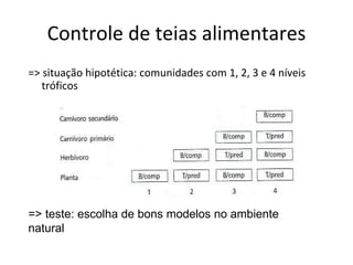 Controle de teias alimentares => situação hipotética: comunidades com 1, 2, 3 e 4 níveis tróficos => teste: escolha de bons modelos no ambiente natural 