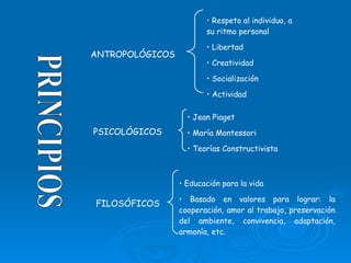PRINCIPIOS ANTROPOLÓGICOS PSICOLÓGICOS FILOSÓFICOS Respeto al individuo, a su ritmo personal Libertad Creatividad Socialización Actividad Jean Piaget María Montessori Teorías Constructivista Educación para la vida Basado en valores para lograr: la cooperación, amor al trabajo, preservación del ambiente, convivencia, adaptación, armonía, etc. 