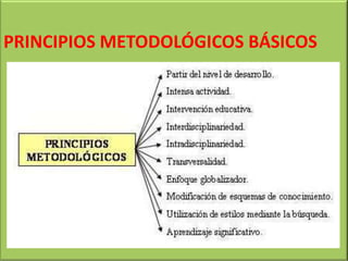 PRINCIPIOS METODOLÓGICOS BÁSICOS
 