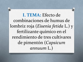 I. TEMA: Efecto de
combinaciones de humus de
lombriz roja (Eisenia fetida L.) y
fertilizante químico en el
rendimiento de tres cultivares
de pimentón (Capsicum
annuum L.)
 