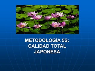 METODOLOGÍA 5S:
CALIDAD TOTAL
JAPONESA
 