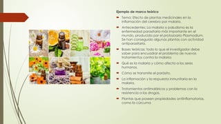 Ejemplo de marco teórico
 Tema: Efecto de plantas medicinales en la
inflamación del cerebro por malaria.
 Antecedentes: La malaria o paludismo es la
enfermedad parasitaria más importante en el
mundo, producida por el protozoario Plasmodium.
Se han conseguido algunas plantas con actividad
antiparasitaria.
 Bases teóricas: todo lo que el investigador debe
saber para encuadrar el problema de nuevos
tratamientos contra la malaria:
 Qué es la malaria y cómo afecta a los seres
humanos.
 Cómo se transmite el parásito.
 La inflamación y la respuesta inmunitaria en la
malaria.
 Tratamientos antimaláricos y problemas con la
resistencia a las drogas.
 Plantas que poseen propiedades antiinflamatorias,
como la cúrcuma
 