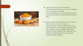  cientos de años en la medicina
tradicional asiática es la Curcuma longa,
la cual posee actividad
inmunoreguladora y parasiticida contra
diversos parásitos incluido el Plasmodium
(24).
 Referencia Fernández Rivera, O. (2020).
Efecto de la Curcuma longa y
Cymbopogon citratus sobre el proceso
inflamatorio en un modelo experimental
de malaria cerebral [TESIS QUE PARA
OPTAR POR EL GRADO DE: MAESTRO EN
CIENCIAS BIOLÓGICAS]. Universidad
Autónoma de México.
 