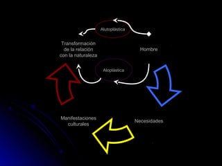 Hombre
Necesidades
Manifestaciones
culturales
Transformación
de la relación
con la naturaleza
Aloplástica
Alutoplástica
 