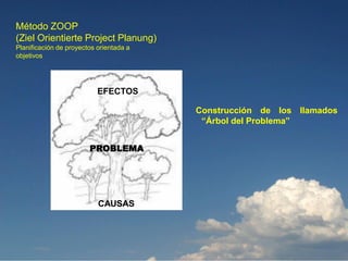 Método ZOOP
(Ziel Orientierte Project Planung)
Planificación de proyectos orientada a
objetivos




                           EFECTOS

                                         Construcción de los llamados
                                          “Árbol del Problema”


                        PROBLEMA




                           CAUSAS
 
