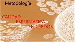 Metodología
FRANK J. RIOS SIFUENTES
CALIDAD
ESPERMATICA
EN CERDOS
 