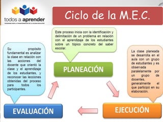 Ciclo de la M.E.C. 
 
