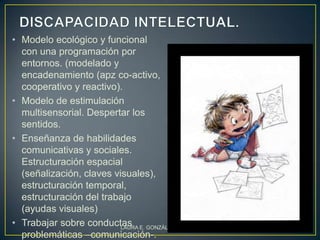• Modelo ecológico y funcional
  con una programación por
  entornos. (modelado y
  encadenamiento (apz co-activo,
  cooperativo y reactivo).
• Modelo de estimulación
  multisensorial. Despertar los
  sentidos.
• Enseñanza de habilidades
  comunicativas y sociales.
  Estructuración espacial
  (señalización, claves visuales),
  estructuración temporal,
  estructuración del trabajo
  (ayudas visuales)
• Trabajar sobre conductas E. GONZÁLEZ VALLEJO
                          LAURA                  19
  problemáticas –comunicación-.
 