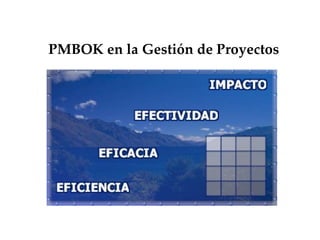 PMBOK en la Gestión de Proyectos 
