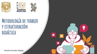 Metodología de trabajo
y estructuración
didáctica
Micaela González Delgado
 