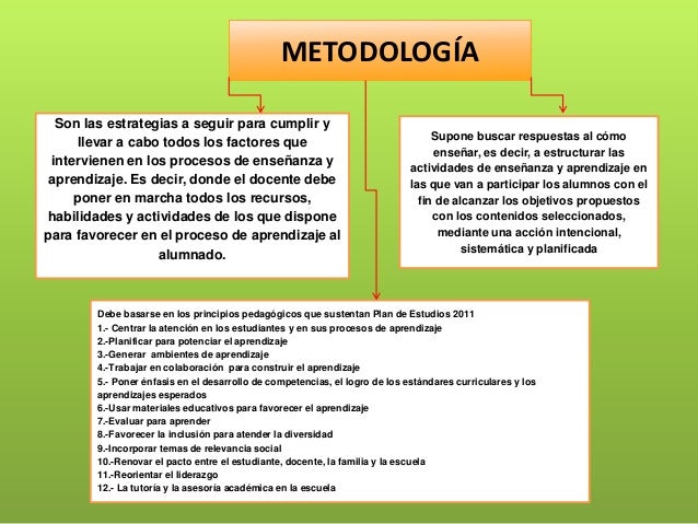 Metodologia didactica