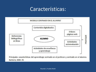 Características:
Ricardo S. Puebla Wuth
 