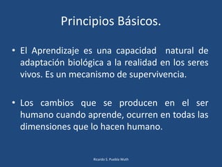 Principios Básicos.
• El Aprendizaje es una capacidad natural de
adaptación biológica a la realidad en los seres
vivos. Es un mecanismo de supervivencia.
• Los cambios que se producen en el ser
humano cuando aprende, ocurren en todas las
dimensiones que lo hacen humano.
Ricardo S. Puebla Wuth
 