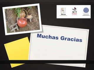 Muchas Gracias