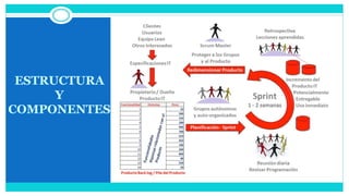 ESTRUCTURA
Y
COMPONENTES
 