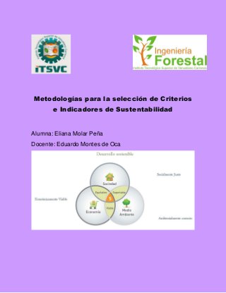 Metodologías para la selección de Criterios
e Indicadores de Sustentabilidad
Alumna: Eliana Molar Peña
Docente: Eduardo Montes de Oca
 