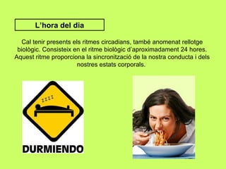 L’hora del dia Cal tenir presents els ritmes circadians, també anomenat rellotge biològic. Consisteix en el ritme biològic d’aproximadament 24 hores. Aquest ritme proporciona la sincronització de la nostra conducta i dels nostres estats corporals.  