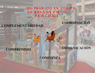 EL TRABAJO EN EQUIPO SE BASA EN CINCO PRINCIPIOS CONFIANZA COMPLEMENTARIEDAD COORDINACIÓN COMPROMISO COMUNICACIÓN