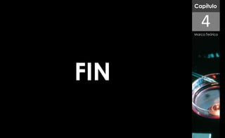 Capítulo


         4
      Marco Teórico




FIN
 