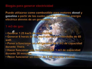 Metodologia (biodigestores)