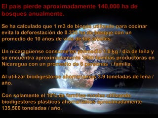 Metodologia (biodigestores)