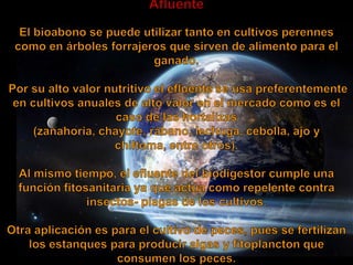 Metodologia (biodigestores)