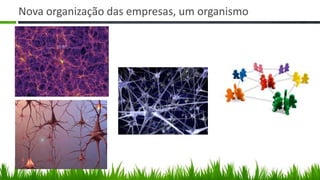 Nova organização das empresas, um organismo
 
