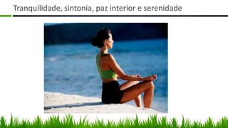 Tranquilidade, sintonia, paz interior e serenidade
 