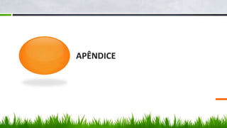 APÊNDICE
 