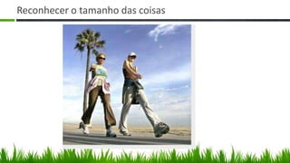 Reconhecer o tamanho das coisas
 