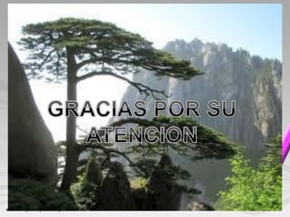 Metodologia de la_ensenanza