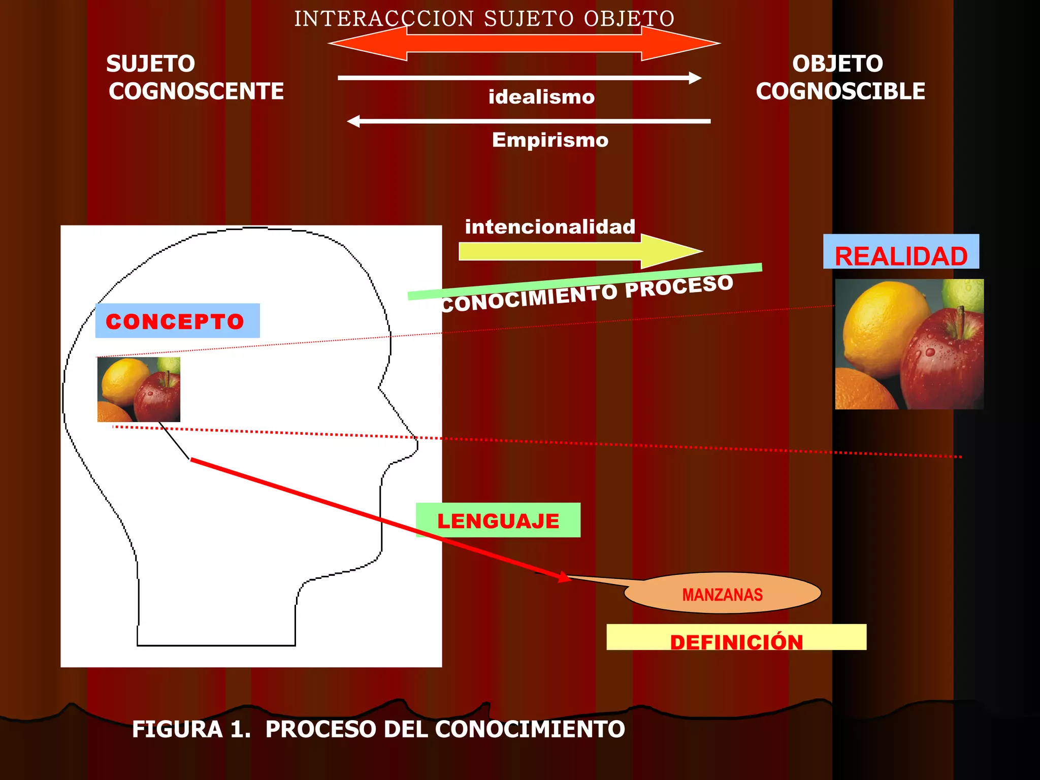 REALIDAD LENGUAJE CONOCIMIENTO PROCESO CONCEPTO MANZANAS SUJETO   OBJETO COGNOSCENTE   COGNOSCIBLE FIGURA 1.  PROCESO DEL CONOCIMIENTO DEFINICIÓN intencionalidad idealismo Empirismo INTERACCCION SUJETO OBJETO 