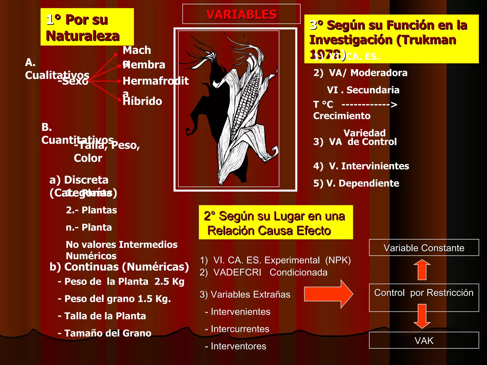 1 ° Por su Naturaleza A. Cualitativos -Sexo Macho Hembra Hermafrodita Híbrido 1.- Planta 2.- Plantas n.- Planta No valores Intermedios Numéricos B. Cuantitativos -Talla, Peso, Color a) Discreta (Categorías) b) Continuas (Numéricas) - Peso de  la Planta  2.5 Kg - Peso del grano 1.5 Kg. - Talla de la Planta - Tamaño del Grano 3 ° Según su Función en la Investigación (Trukman 1978 ) 1)  VI. CA. ES. 2)  VA/ Moderadora VI . Secundaria T °C  ------------> Crecimiento  Variedad 3)  VA  de Control 4)  V. Intervinientes 5) V. Dependiente 2° Según su Lugar en una  Relación Causa Efecto 1)  VI. CA. ES. Experimental  (NPK) 2)  VADEFCRI  Condicionada 3) Variables Extrañas - Intervenientes - Intercurrentes - Interventores Control  por Restricción  Variable Constante VAK VARIABLES 