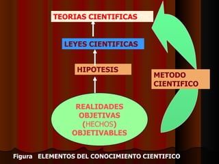 REALIDADE S OB JETIVAS   ( HECHOS ) OBJETIVABLE S HIPOTESIS LEYES CIENTIFICAS TEORIAS CIENTIFICAS Figura  ELEMENTOS DEL CONOCIMIENTO CIENTIFICO METODO CIENTIFICO 