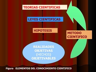 REALIDADE S OB JETIVAS   ( HECHOS ) OBJETIVABLE S HIPOTESIS LEYES CIENTIFICAS TEORIAS CIENTIFICAS Figura  ELEMENTOS DEL CONOCIMIENTO CIENTIFICO METODO CIENTIFICO 