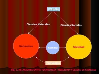 Sociedad Realidad Naturaleza Tecnología CIENCIA Ciencias Naturales Ciencias Sociales Fig. 6. RELACIONES ENTRE TECNOLOGÍA ; REALIDAD Y CLASES DE CIENCIAS 