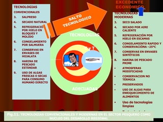 TECNOLOGIAS ADECUADAS C y T TECNOLOGIAS CONVENCIONALES SALPRESO SECADO NATURAL REFRIGERACIÓN POR HIELO EN BLOQUES Y MOLIDO CONGELAMIENTO POR SALMUERA CONSERVAS EN ENVASES DE HOJALATA HARINA DE PESCADO ESTÁNDAR USO DE ALGAS FRESCAS O SECAS PARA CONSUMO HUMANO DIRECTO  TECNOLOGIAS MODERNAS SECO SALADO SECADO POR AIRE CALIENTE REFRIGERACIÓN POR HIELO EN ESCAMAS CONGELAMIENTO RAPIDO Y CONSERVACIÓNA –25ºC CONSERVAS EN ENVASES SINTÉTICOS HARINA DE PESCADO PRIME ATMOSFERAS MODIFICADAS CONSERVACION NO TÉRMICA PRESERVADOS USO DE ALGAS PARA ENRIQUECIMIENTO DE ALIMENTOS   Uso de tecnologías limpias Tratamiento de desechos Fig.11.  TECNOLOGIAS CONVENCIONALES Y MODERNAS EN EL SECTOR PESQUERO COMO NUCLEO DEL DESAROLLO REGIONAL SALTO  TECNOLOGICO EXCEDENTE ECONOMICO 