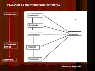 ETAPAS DE LA INVESTIGACIÓN CIENTÍFICA   Sánchez y Reyes 1987   PROYECTO ACOPIO DE DATOS INFORME 