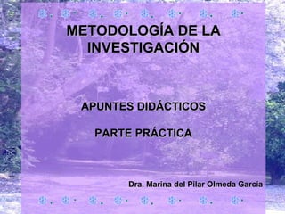 METODOLOGÍA DE LA INVESTIGACIÓN APUNTES DIDÁCTICOS PARTE PRÁCTICA Dra. Marina del Pilar Olmeda García 