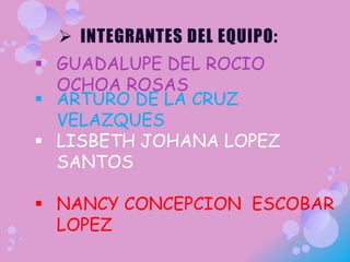 Metodologia de la investigacion | PPT
