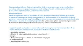 Para su estudio anatómico, el tracto respiratorio se divide en generaciones, que se van ramificando en
estructuras cada vez más pequeñas; éstas van desde la tráquea hasta la unidad respiratoria funcional
(Acino pulmonar (lóbulo primario, unidad respiratoria terminal)
Epitelio respiratorio
Desde la cavidad nasal hasta los bronquiolos, el tracto respiratorio se encuentra rodeado de un epitelio
seudoestratificado columnar ciliado, que es productor de células mucosas. En los bronquiolos, el epitelio
comienza a hacerse cuboide. Las primeras 16 generaciones corresponden a las vías aéreas de conducción y las
últimas siete a las zonas de transición y respiratoria. Las funciones del epitelio respiratorio en general son:
humidificación del aire, limpieza de partículas nocivas y defensa contra infecciones
Los objetivos de la respiración son proveer oxígeno a los tejidos y remover el dióxido de carbono de los
mismos. Para lograr estos objetivos la respiración se divide en cuatro funciones:
1. Ventilacion pulmonar
2. Difusión de oxígeno y dióxido de carbono entre el alveolo y
la sangre.
3. Transporte de oxígeno y dióxido de carbono en la sangre y en
los fluidos corporales.
4. Regulación de la ventilación.
 