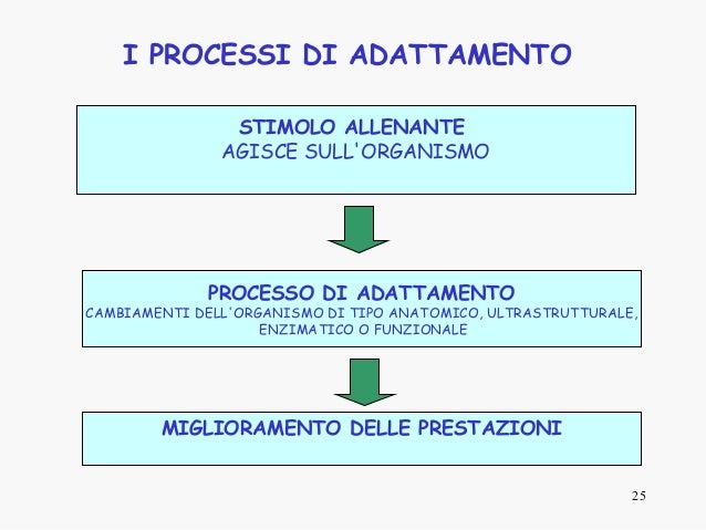 Metodologia Dell Allenamento Moise Paolo Pre Corso Allenatore Fidal 2