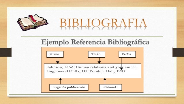 Conclusion, Bibliografia, Anexos