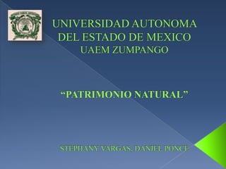 UNIVERSIDAD AUTONOMA DEL ESTADO DE MEXICOUAEM ZUMPANGO“PATRIMONIO NATURAL”STEPHANY VARGAS, DANIEL PONCE 
