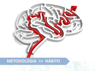 METODOLOGIA >> HÁBITO
 